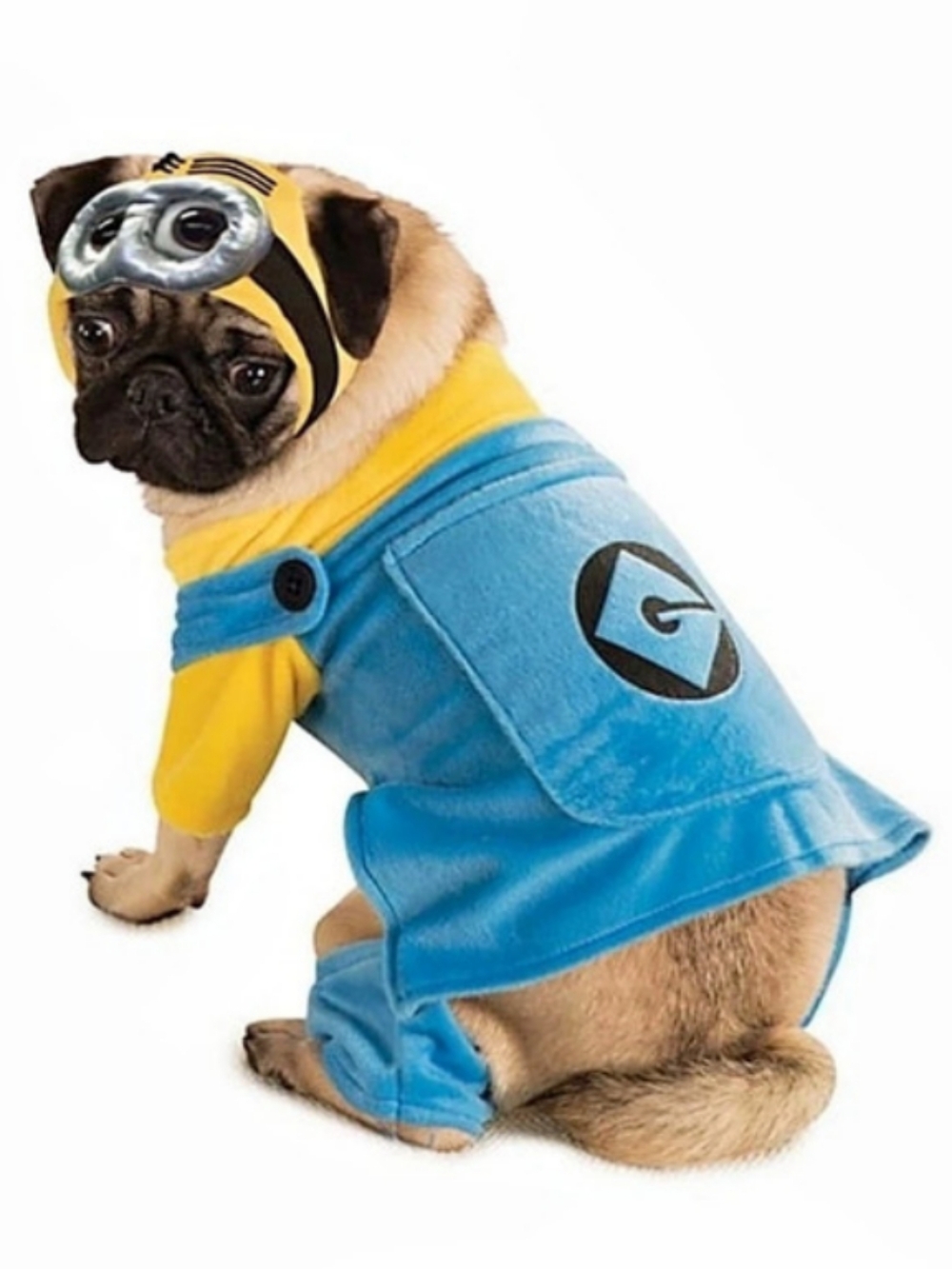 Illumination Minion Dog Costume in Blue & Yellow Pet Costume Halloween